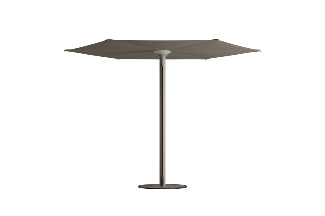 Anamon Parasol
