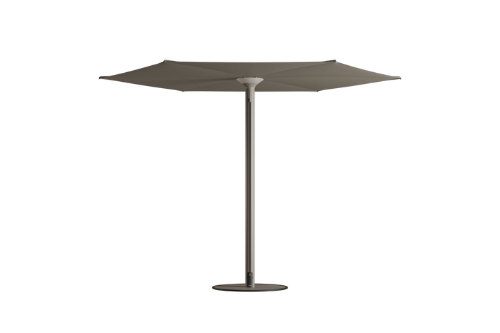 Anamon Parasol